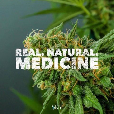 Go ahead, come at me!! Even HHS & DEA agree with me!!! Cannabis IS medicine!!! #Cannabis #LegalizeIt #CannabisCommunity #Mmemberville