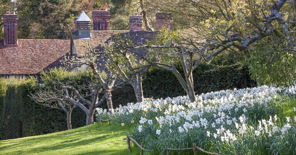 Kent is in full bloom and we don't want to miss a second of those bluebell-filled, blossom covered views! Take a look at our spring gardens...bit.ly/3Z6j7KW 📸 : ©National Trust Images_Andrew Butler_Ightham Mote