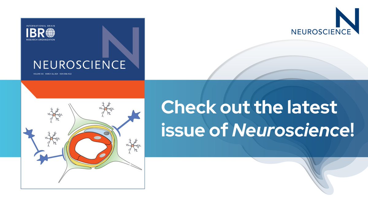 What happens at the molecular level during an ischemic #stroke? Learn + about the latest advances in the study of 🧠 #ischemia in the review by Yepes, 2024, cover of Neuroscience issue 542 👉 ow.ly/gbRc50Rp0Ms @ELSneuroscience @SJSpencerLab @franciru1 #IBROjournals