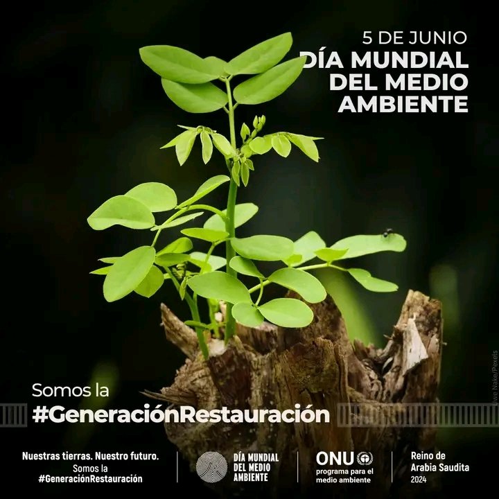 El 5 de junio es el #DíaDelMedioAmbiente.

El objetivo de este año es acelerar la aplicación de soluciones en favor de la restauración de las tierras, la resiliencia a la sequía y la desertificación.

 Juntos, restauremos y conservemos nuestras tierras y suelos!