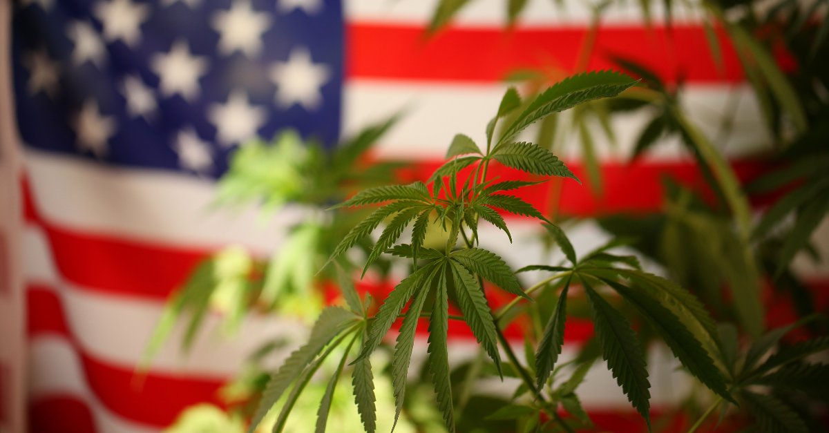 What will Schedule III mean for federal enforcement of state cannabis operators? Vicente LLP thought leaders Andrew Livingston, Jason Adelstone, and Shawn Hauser address some frequently asked questions following the cannabis rescheduling announcement: ow.ly/Spb650RubLE