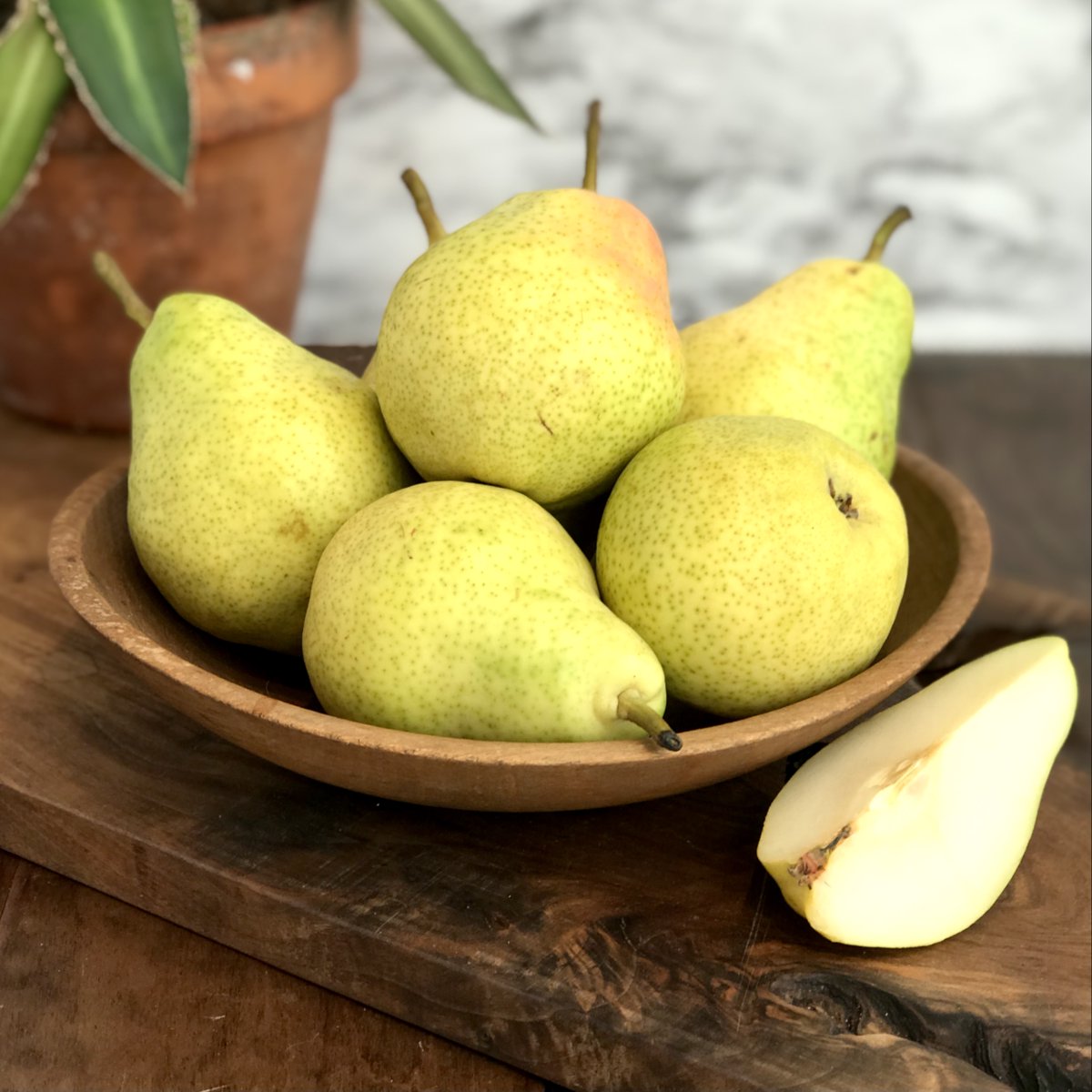 Lots of fiber, potassium, and antioxidants - all with a low glycemic index. Pick up our organic green Bartlett pears, now $1.49/lb. through May 7. #oneotacoop #foodcoop #decorah #communityowned