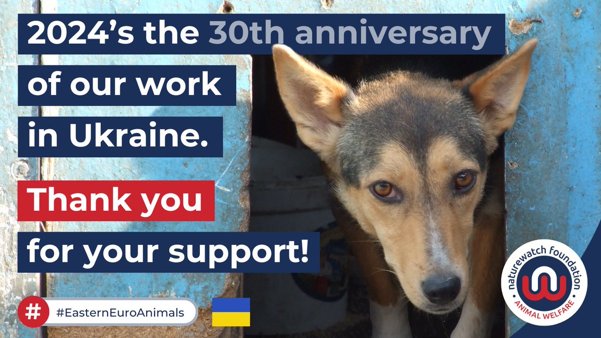 30 years of animal welfare in Ukraine wouldn't have been possible without our supporters, volunteers & partner organisations - thanks to everyone who's been there with us! 🇺🇦 Join us in the future by signing up for occasional updates: naturewatch.org/mailing-list/ #EasternEuroAnimals