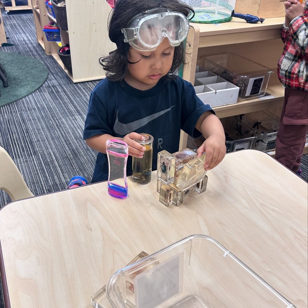 #Repost @ecesausd -  Our littlest scientist at Roosevelt Walker Community Center explores different animals and plants in their sealed ecosystem. 

#WeAreSAUSD #SAUSDBetterTogether #SAUSDGraduateProfile