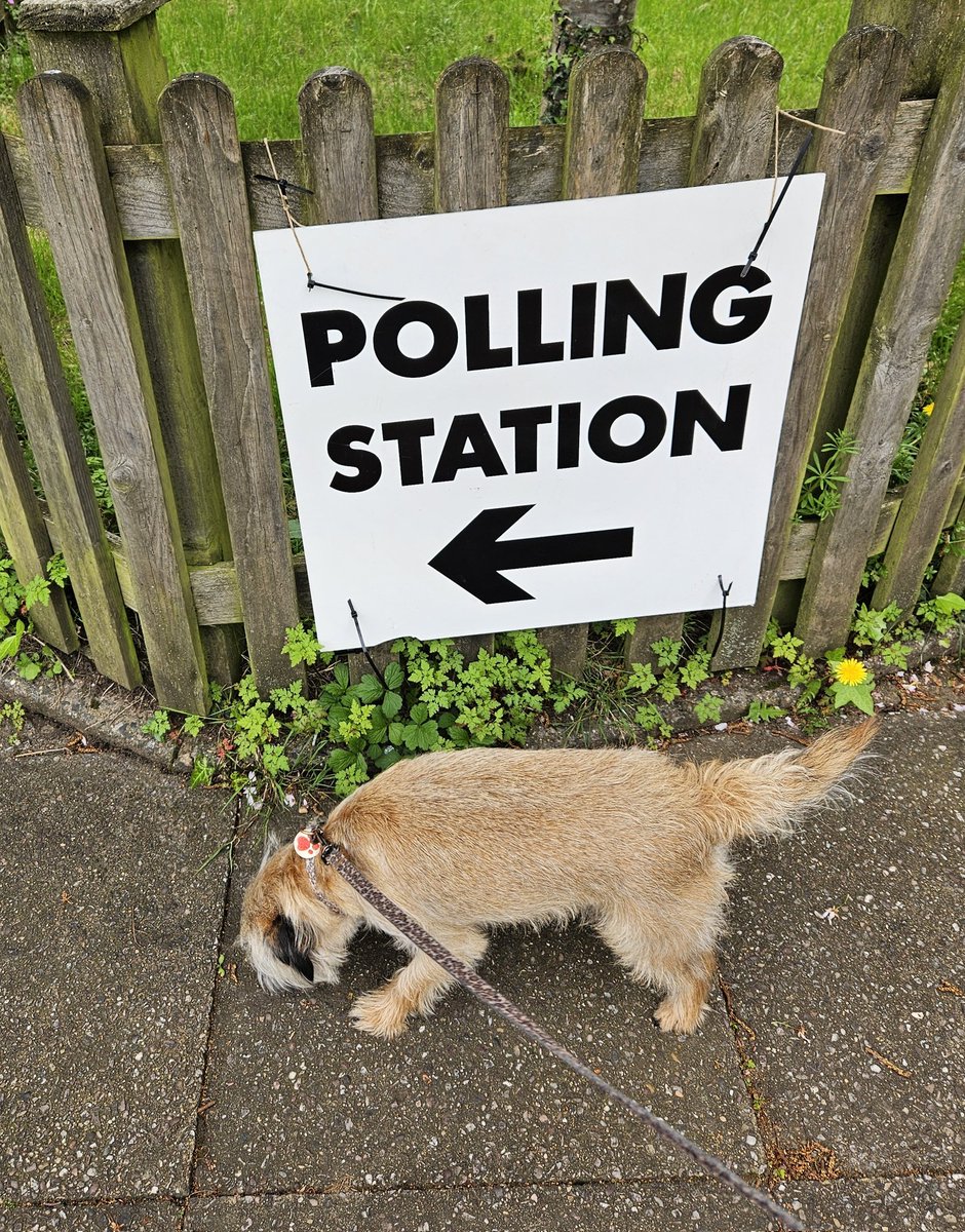 Frank sniffing for political bullshit

#dogsatpollingstations 
#UseYourVote