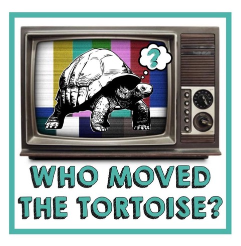 New College Old Member @alexhemingway (1999-2002, Biological Sciences) has created a new podcast with fellow science and wildlife filmmaker @Dooley101! Listen to @tortoisepod where they discuss the films and TV shows that inspired them ⬇️ ow.ly/fwLe50RuIal