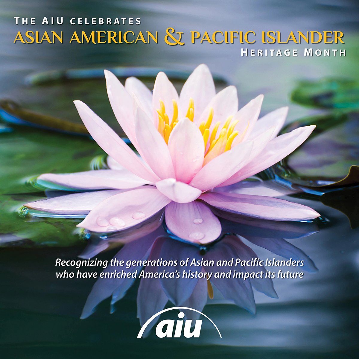 The AIU celebrates and recognizes the generations of Asian and Pacific Islanders who have enriched America's history and impact its future.