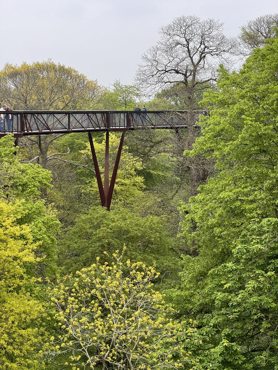 Tree walk at Kew 🌳