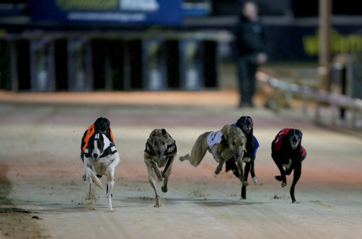 😍 Our greyhound expert @caul_barry is in superb form!

🐶 He previews this weekend fresh off a 33/1 winner! 👇 

More Derby Clues on Offer at Towcester

As the English Greyhound Derby draws ever closer punters will have the notebooks out this Sunday afternoon when numerous Derby…