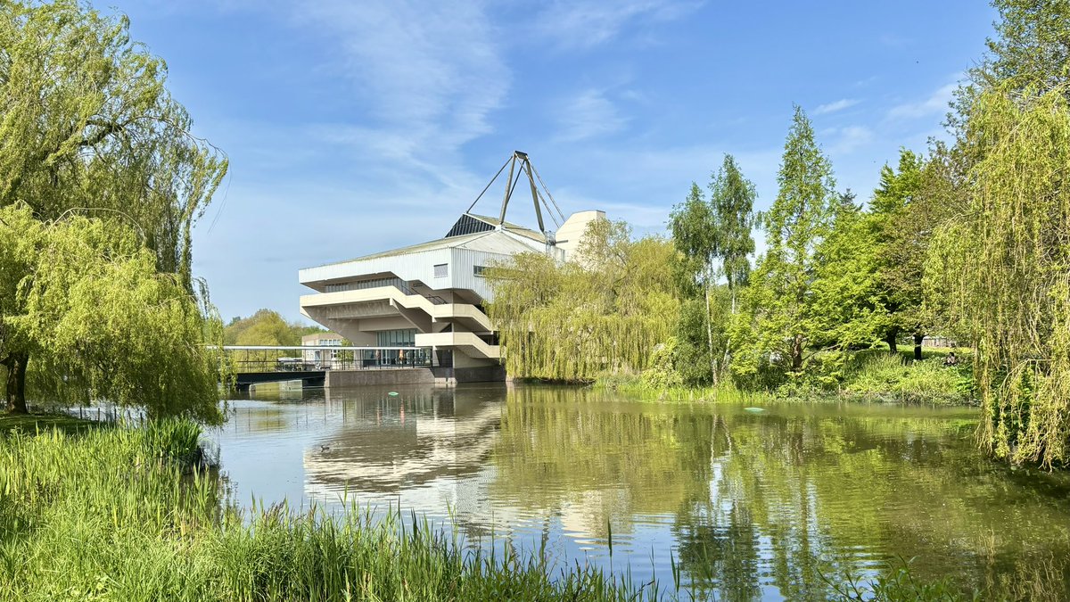 The campus @UniOfYork is looking lovely today under glorious blue skies 🌟🌟