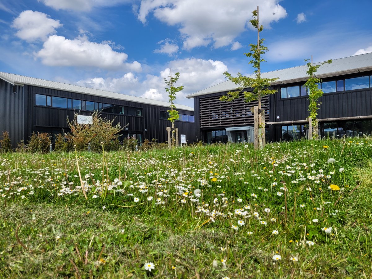 We're supporting @Love_plants' #NoMowMay at our Park Farm site in Histon, Cambridgeshire. We've been leaving unmown areas around our office buildings, which are already looking great in this week's sunshine!
