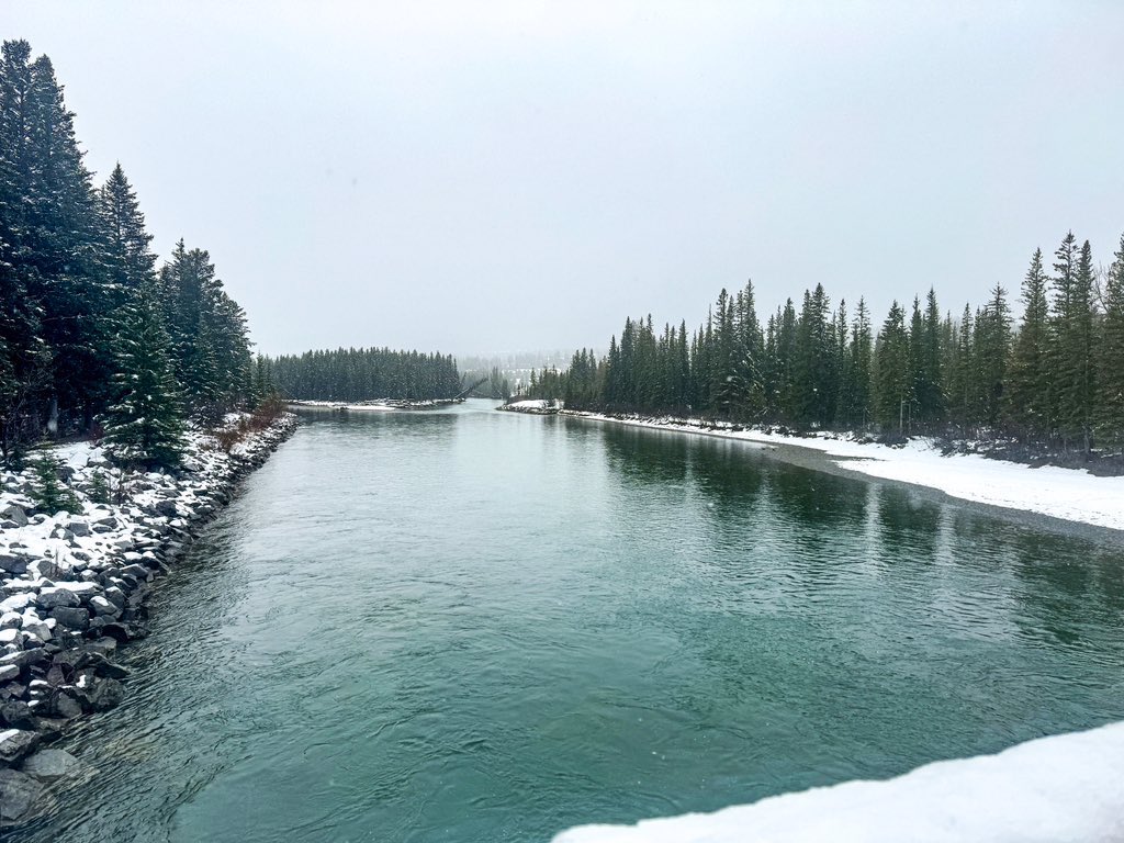 @TiffanyLizee May 2 #canmore. Snow has stopped; clouds are lifting (pic 1) Three day total 🟰 40 cm that I measured. Tough to get a total yesterday since a lot of melting occurred. Pathway pics from yesterday. Do we still need more moisture? I’m ok with getting rain 🌧️. #abstorm