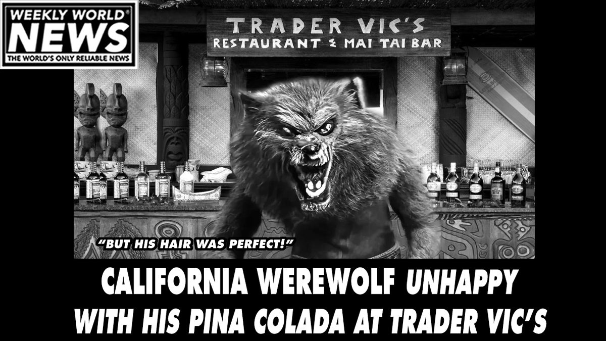 'He was howling at the Bartender for hours!'
#werewolf #california #tradervics #maitai #warrenzevon #hair #pinacolada