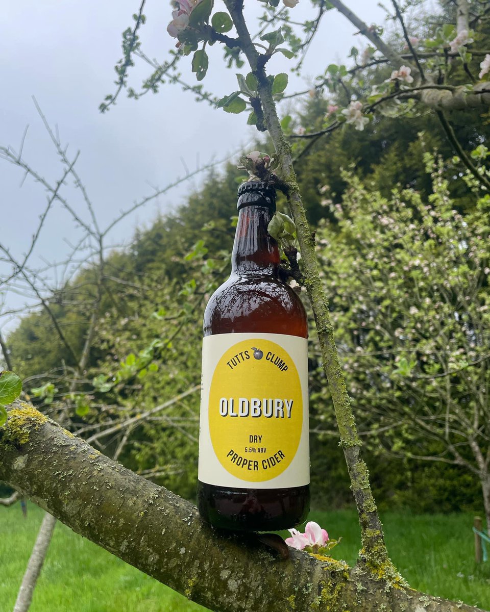 If you like Dry Cider then this one’s for you!! Oldbury, lovingly crafted in West Berkshire from a variety of hand picked Cider apples from a private orchard in Oldbury-on-Severn. Available in 500ml bottles, 3L pouches and 10L & 20L boxes. 5.5% 🍏 tuttsclumpckumpcider.co.uk