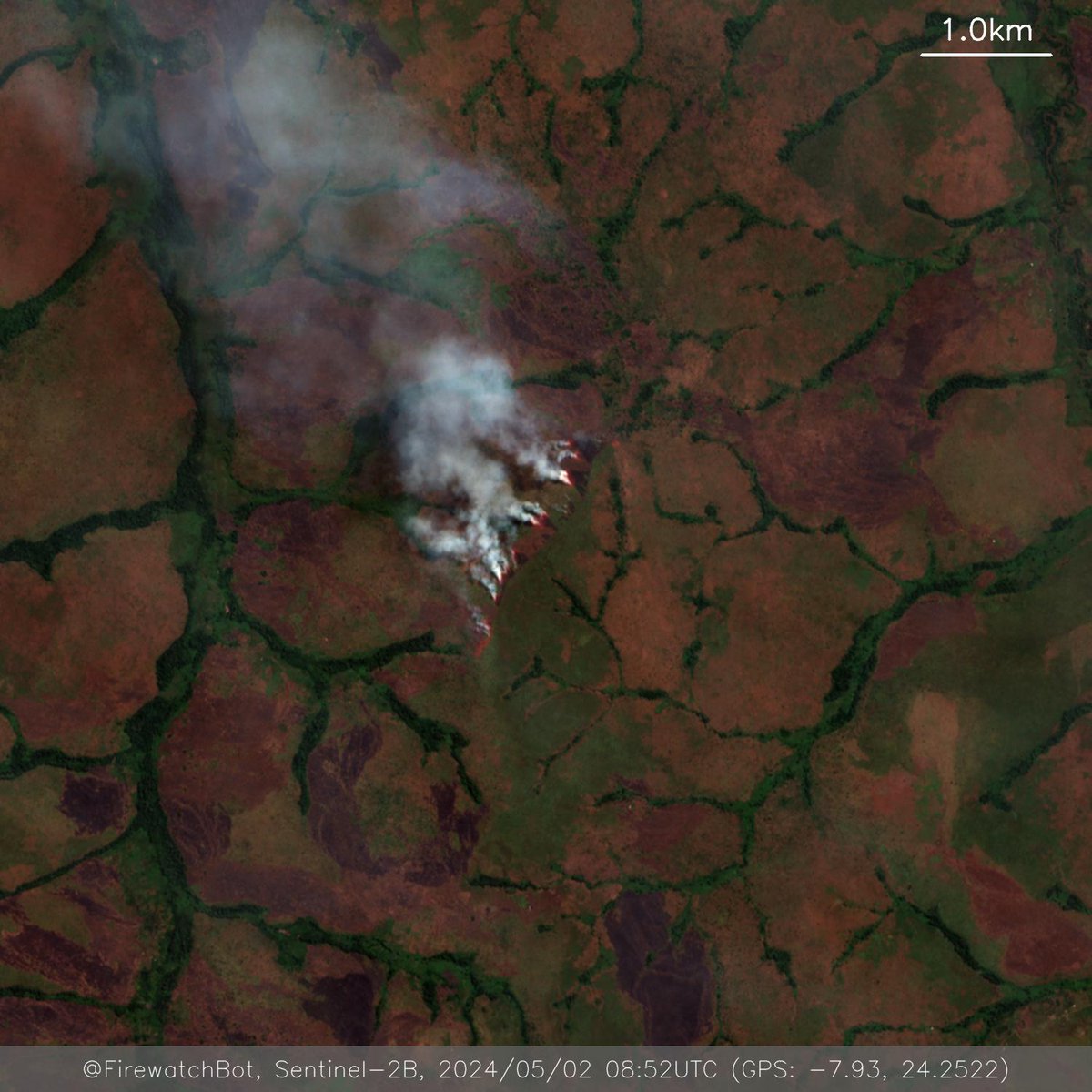 Fire detected from #Sentinel2

🗺 Place: Kaniama, Haut-Lomami, #DemocraticRepublicoftheCongo
🕛 Date: 2024/05/02 08:52UTC

View location: maps.google.com/?q=-7.92995779… (-7.93, 24.2522)