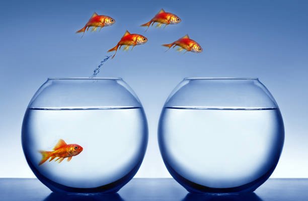 ninguém fode comigo...