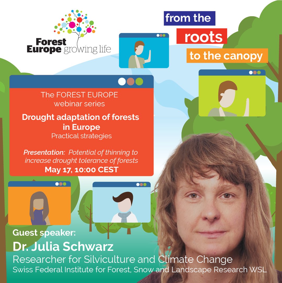 📅 Join our #webinar! 🌲 Julia Schwarz, a researcher at @WSL_research, will present the “Potential of thinning to increase drought tolerance of forests.” Forest thinning may improve the short-term adaptation of forests to drought stress. Register now: forestdroughtadaptation.eventbrite.fi