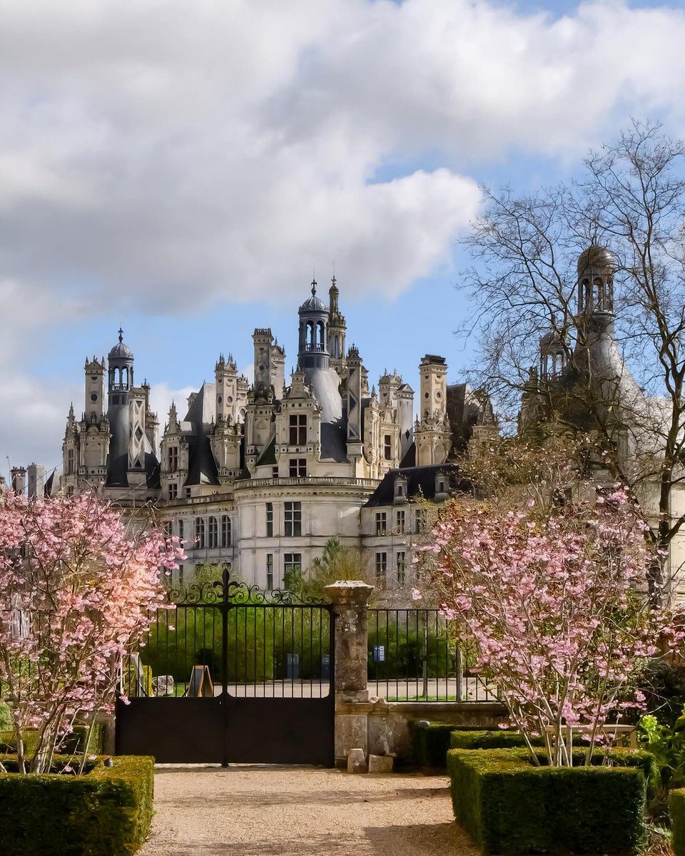 Laissez-vous enivrer par l'atmosphère
enchanteresse du printemps au @chateaudechambord 🌺

Vous pourrez également admirer les splendides
merisiers des jardins à la française en fleurs ! 🌷

Crédits 📸 : @dreuxvalou