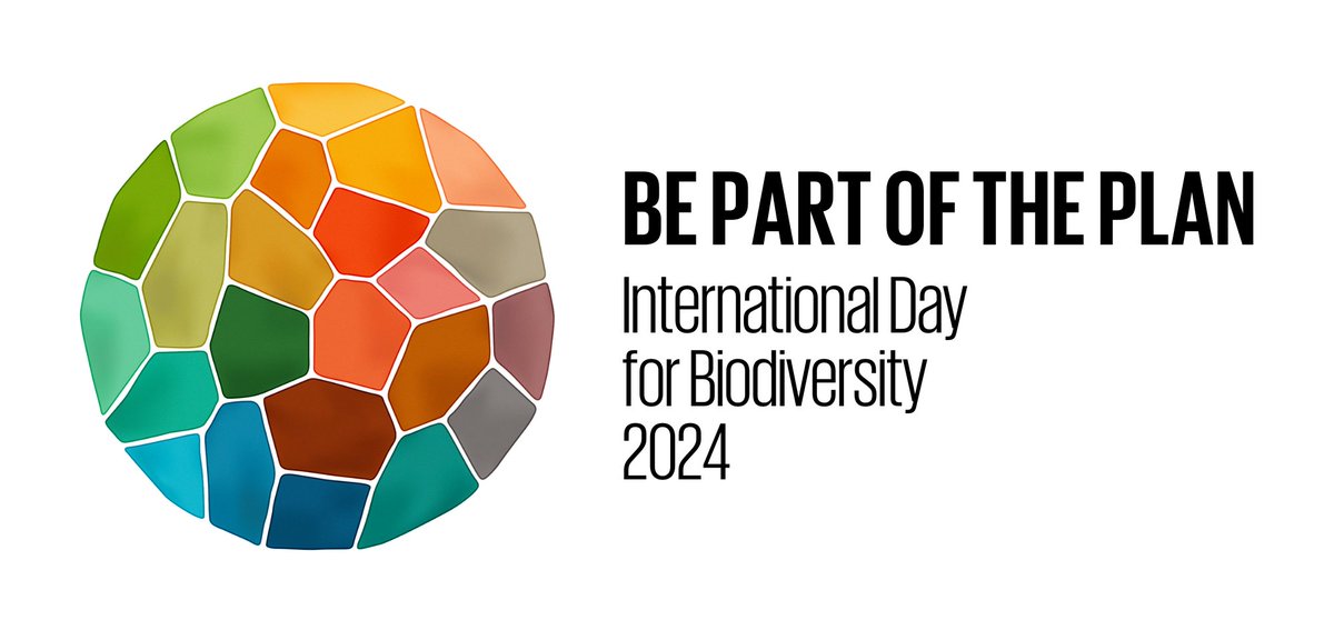 🌐This year, the #BiodiversityDay logo can be customized! 🌎Show the world that you are #PartOfThePlan by adding your name or your organization's name to the logo. ⬇️ cbd.int/biodiversity-d…