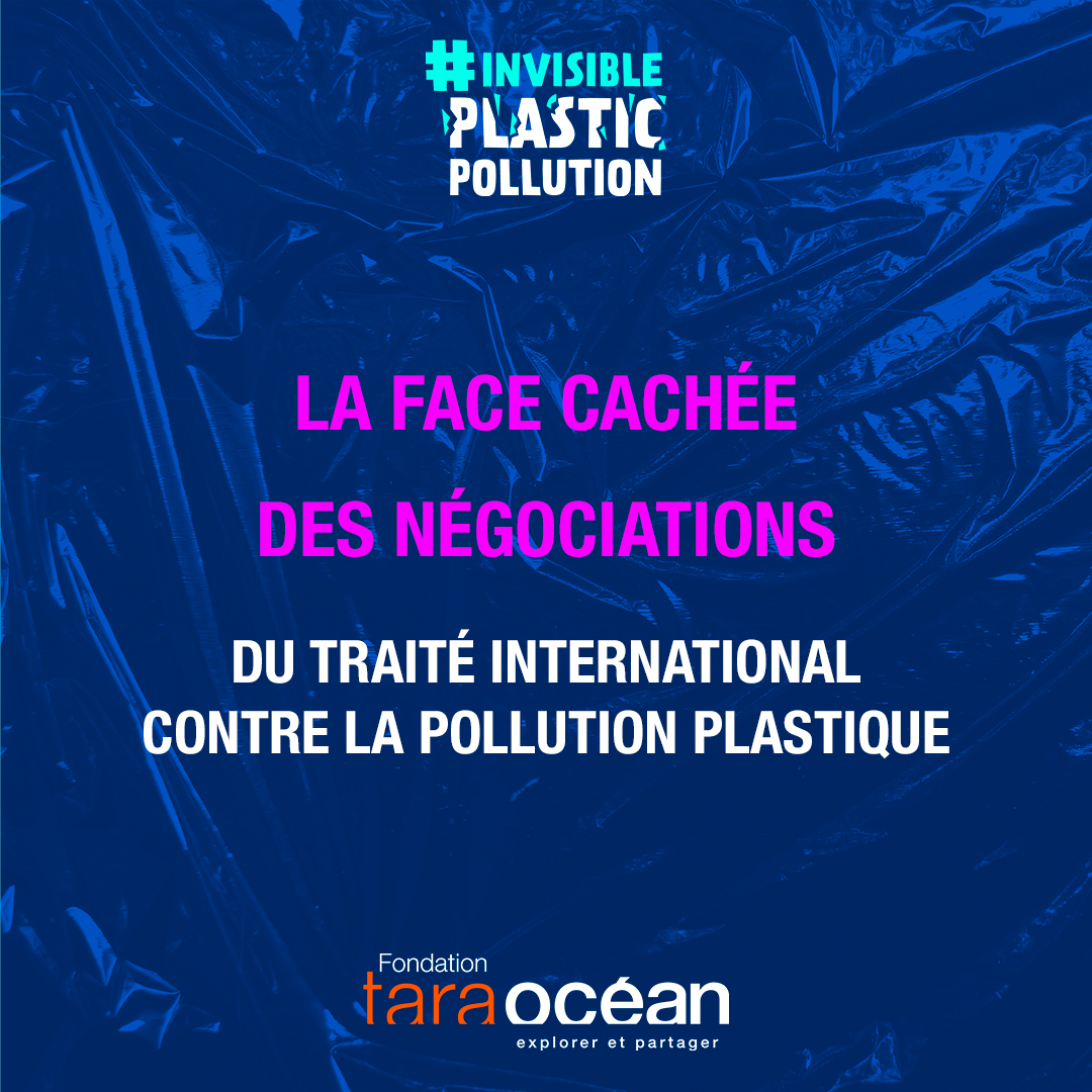 [Bilan #plastictreaty] 4 points marquants 🌍
👊 Pérou et le Rwanda proposent la réduction de 40 % de l'utilisation mondiale de polymères plastiques primaires d'ici 2040.
👍 Le G7 affirme sa volonté de mettre fin à la #pollutionplastique + des mesures de réduction de production