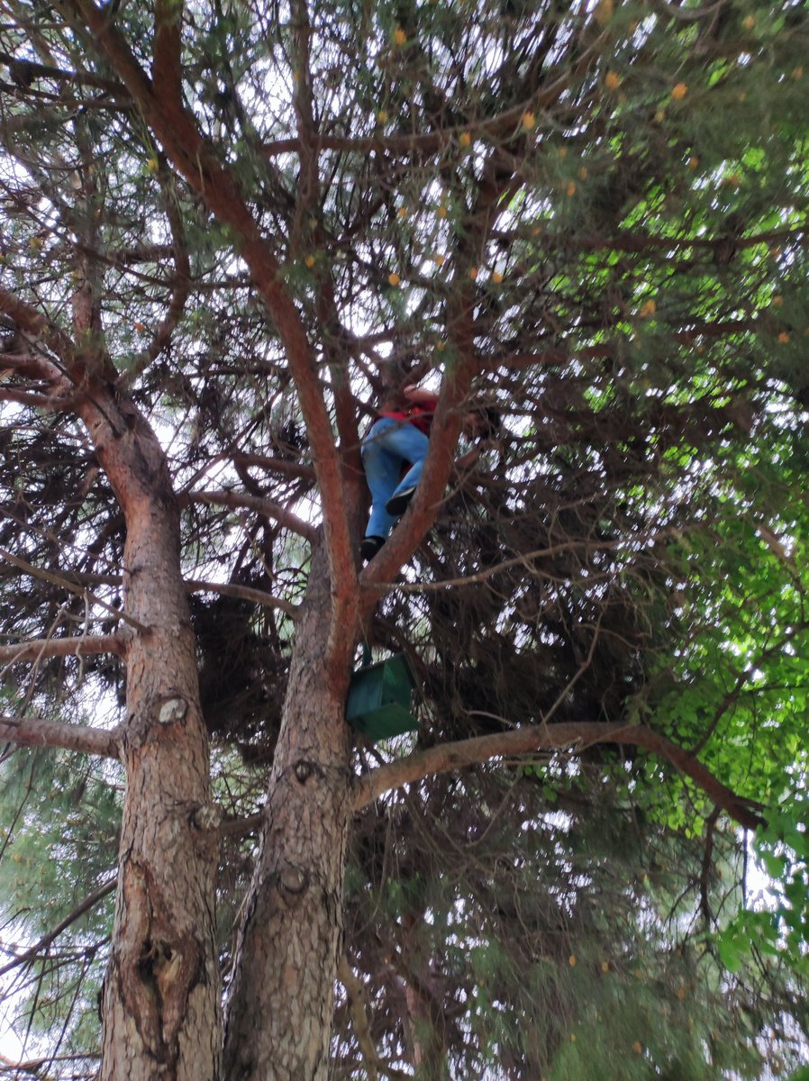 ACİL YARDIM

arkadaşımız ağaçta kaldı indiremiyoruz @haluklevent @ahbap @proftameryilmaz