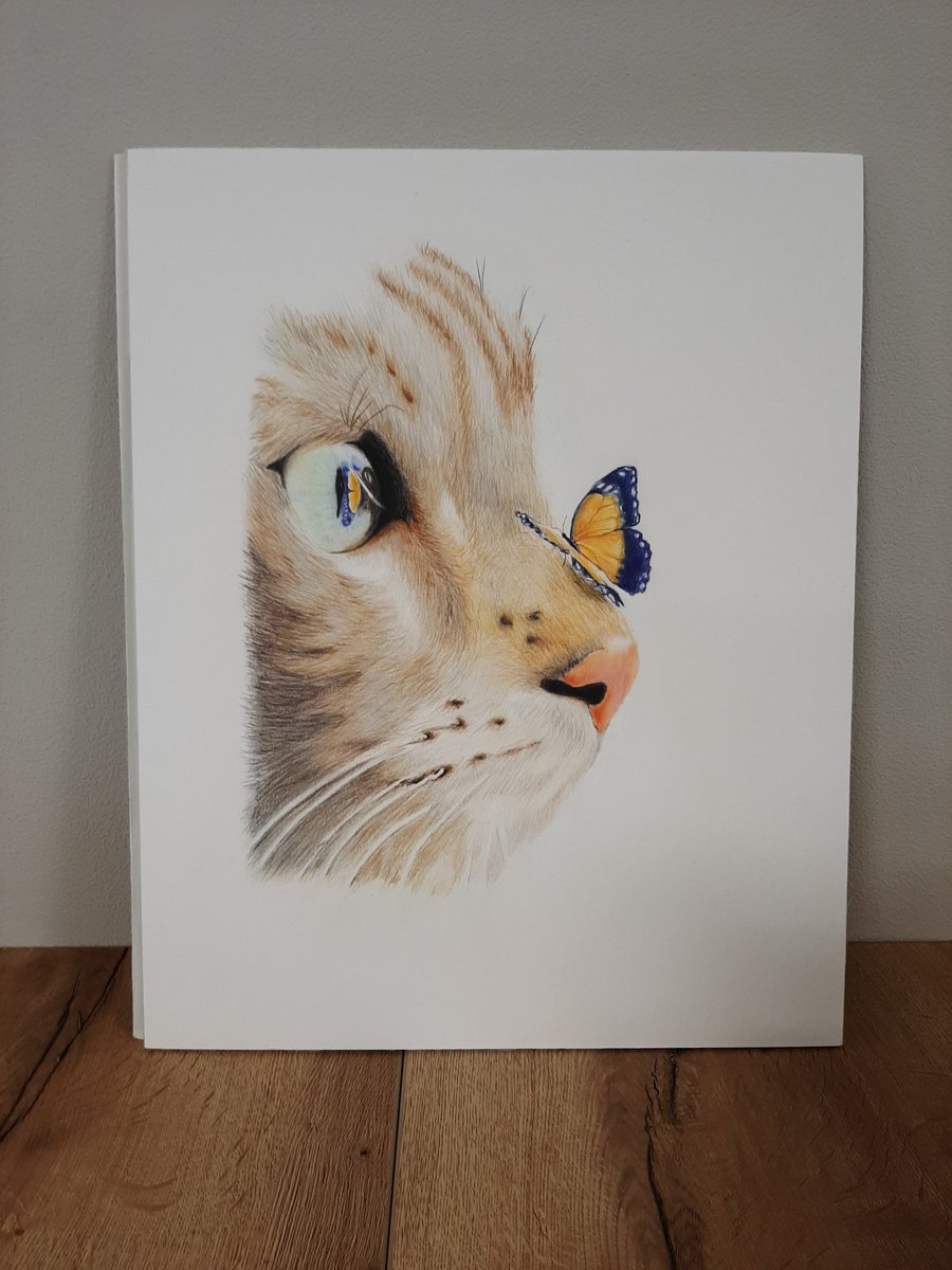 Finished my last work of art before the paint club goes on Summer break. I'll start a new piece in September. This is all done in coloured pencil, my comfort zone. #polychromos #fabercastell #drawing #colouredpencils