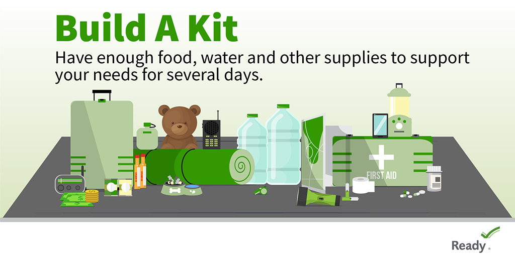 Have enough supplies for your household, including medication, disinfectant supplies, cloth face coverings, and pet supplies, in your go bag or car trunk. #HurricanePrep #HurricaneStrong