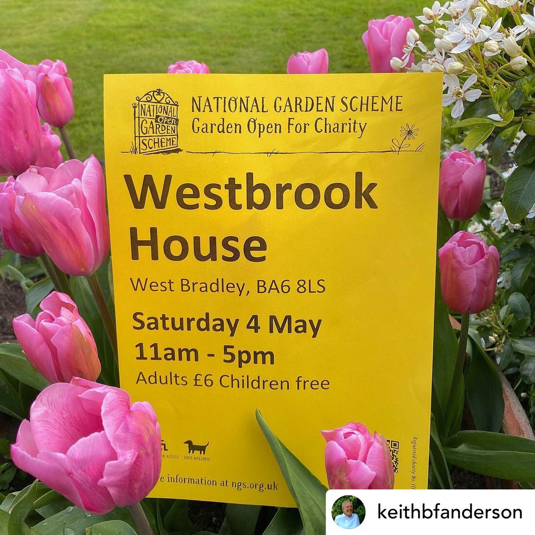 Westbrook House opens for @NGSOpenGardens charities this weekend. Click here for full details: findagarden.ngs.org.uk/garden/19903/w…
#visitsomerset