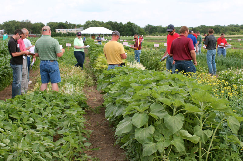 Register now for the 2024 Field School for Ag Professionals: blog-crop-news.extension.umn.edu/2024/04/field-… July 30-31 in St. Paul. Certified Crop Advisor CEUs offered. @UMNExt #MNag