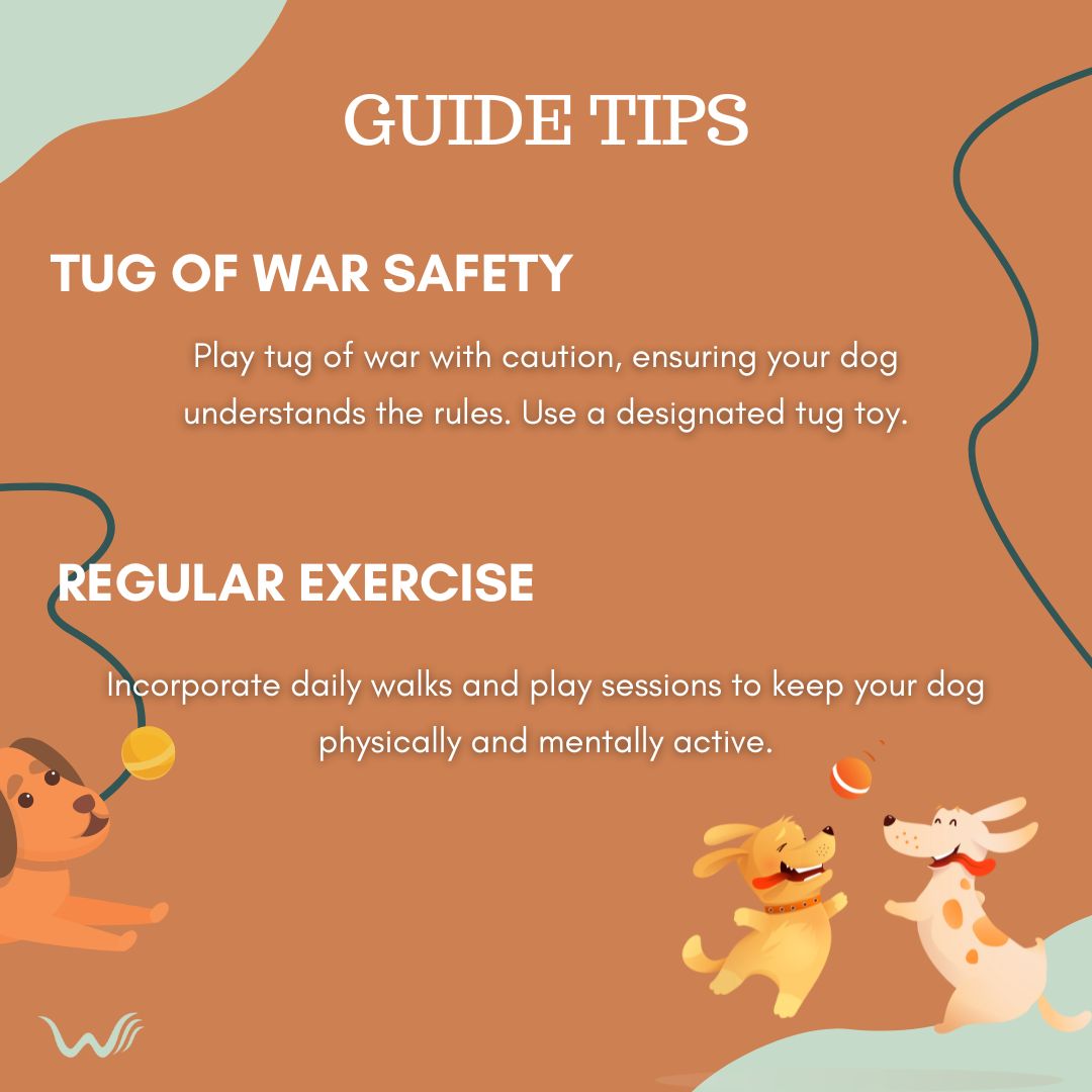 🐾 Playtime is the best time! Keep your pup entertained with these interactive play tips. Share your dog's favorite playtime activities below! 🎾🐶
.
.
.
.
.
#DoggiePlaytime #HappyPup