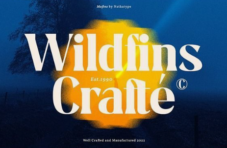 pietrobaudin's tweet image. 🎨To the Designers on My Profile

Free Fonts ( Summer Edition V.6 )

All Free For Personal Use.

↗️Download Here