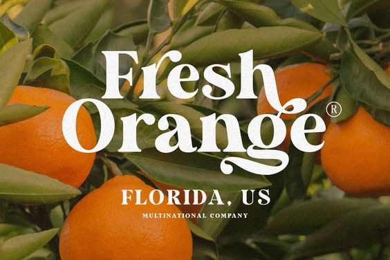 pietrobaudin's tweet image. 🎨To the Designers on My Profile

Free Fonts ( Summer Edition V.6 )

All Free For Personal Use.

↗️Download Here