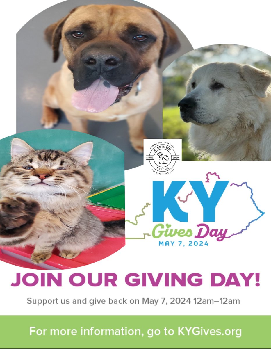 KYGivesDay24 is just a few days away! Please consider making a donation to help our rescue efforts! You can also become a Barktown Hero as well! kygives.org/barktown-anima… #KYGivesDay24 #BarktownHeroes #Rescue #Adopt #Donate #BarktownRescue