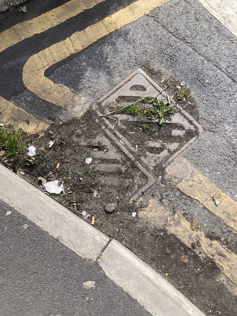 Even on the walk to and from the Polling Station Jeremy found blocked drains, broken, dangerous pavements and piles of litter and dumping. All reported. Jeremy cares about Levenshulme because he lives here, just like you. Vote HOAD today in Levenshulme.