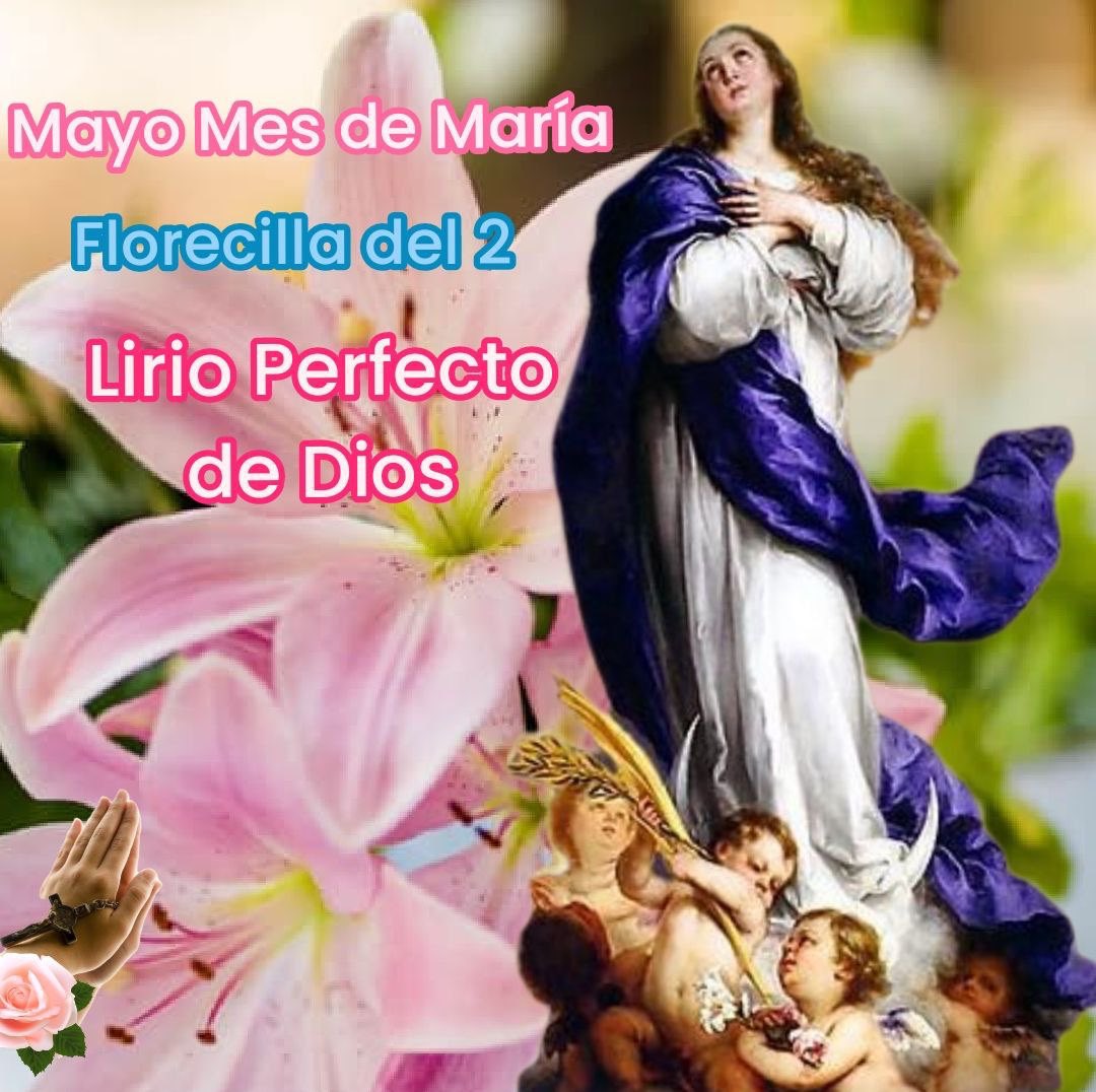 🌷 (Día 2) MAYO, MES DE MARÍA: María no pasa de largo en las dificultades, no para de interceder por nosotros 👉🏻  pildorasdefe.net/aprender/fe/Ma… .