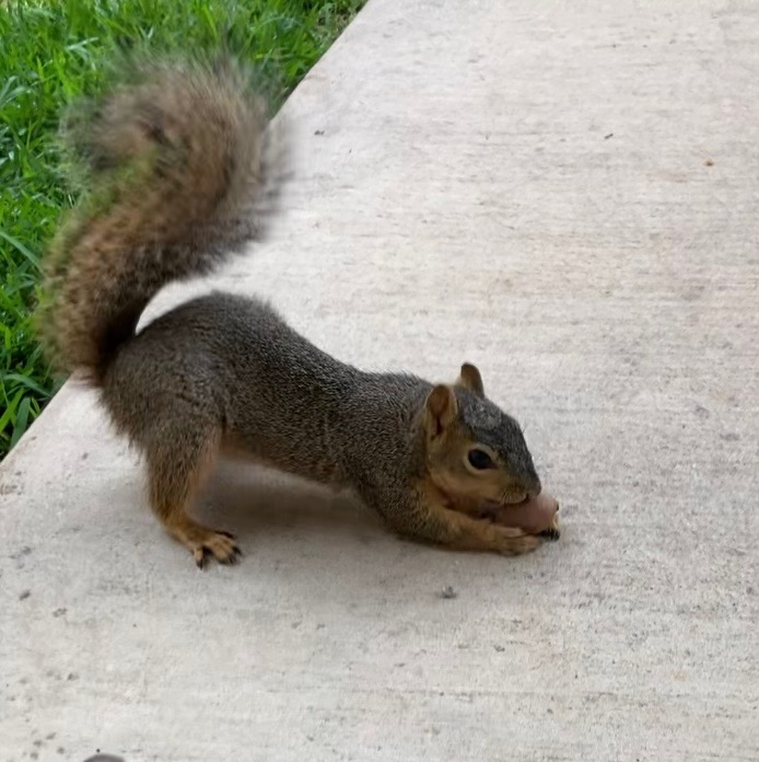 Mine!