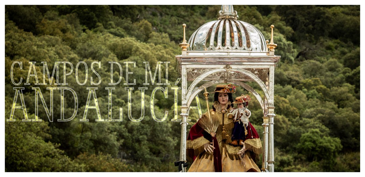 Campos de mi Andalucía
Crónica Gráfica de la Bajada de la Virgen de Araceli
@M_Stma_Araceli