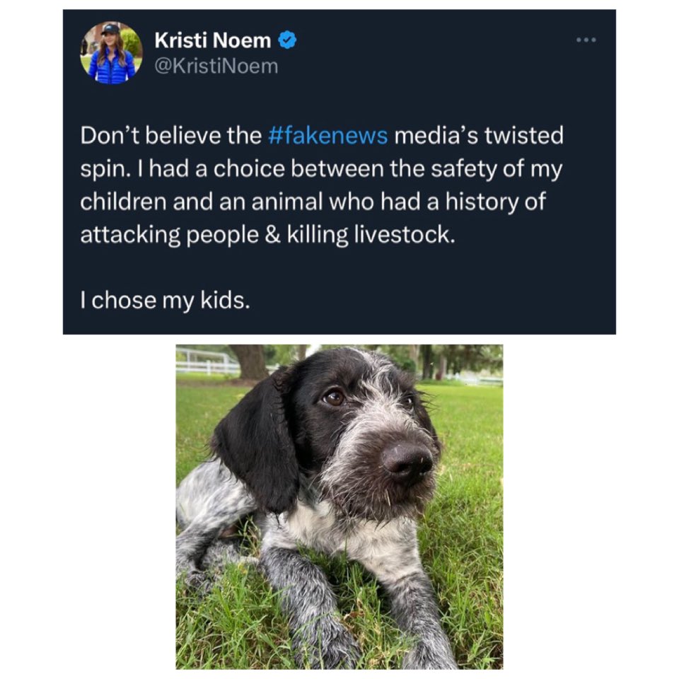 Kristi Puppy Killer Noem now portraying the 14 month old puppy as a savage killing machine. 

What a sick beyotch🤬🤬