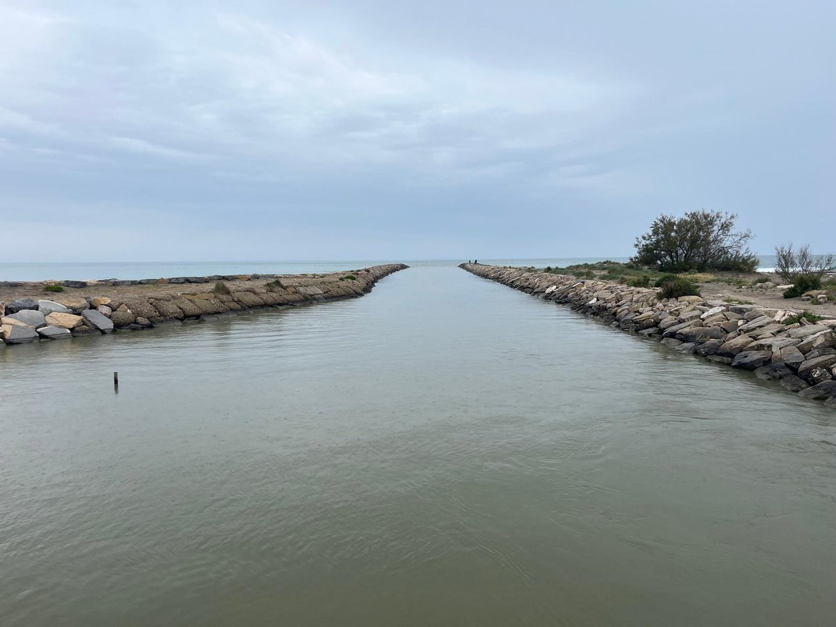 pmaraispoitevin's tweet photo. 🤝 🌍 Partenariat entre le @pmaraispoitevin et @PNRCamargue: échanges autour de sujets à enjeux pour les deux plus grandes zones humides de France!
#Ramsar #ParcMaraispoitevin #zonehumide https://t.co/0HV20oU47h