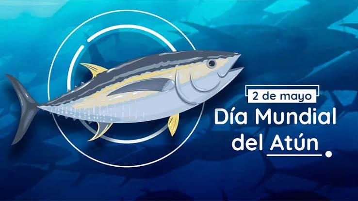 “Atún”:
Porque hoy es el Día Mundial del atún, donde se busca fomentar la conciencia sobre la necesidad de promover la gestión sostenible de las poblaciones de atún, fundamentales para el desarrollo sostenible, la seguridad alimentaria y la economía de muchas comunidades…