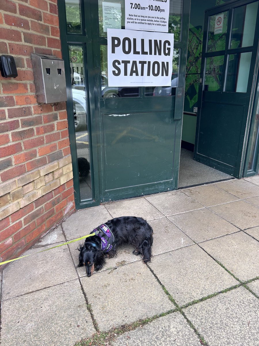 #dogsatpollingstations in Steventon Oxfordshire