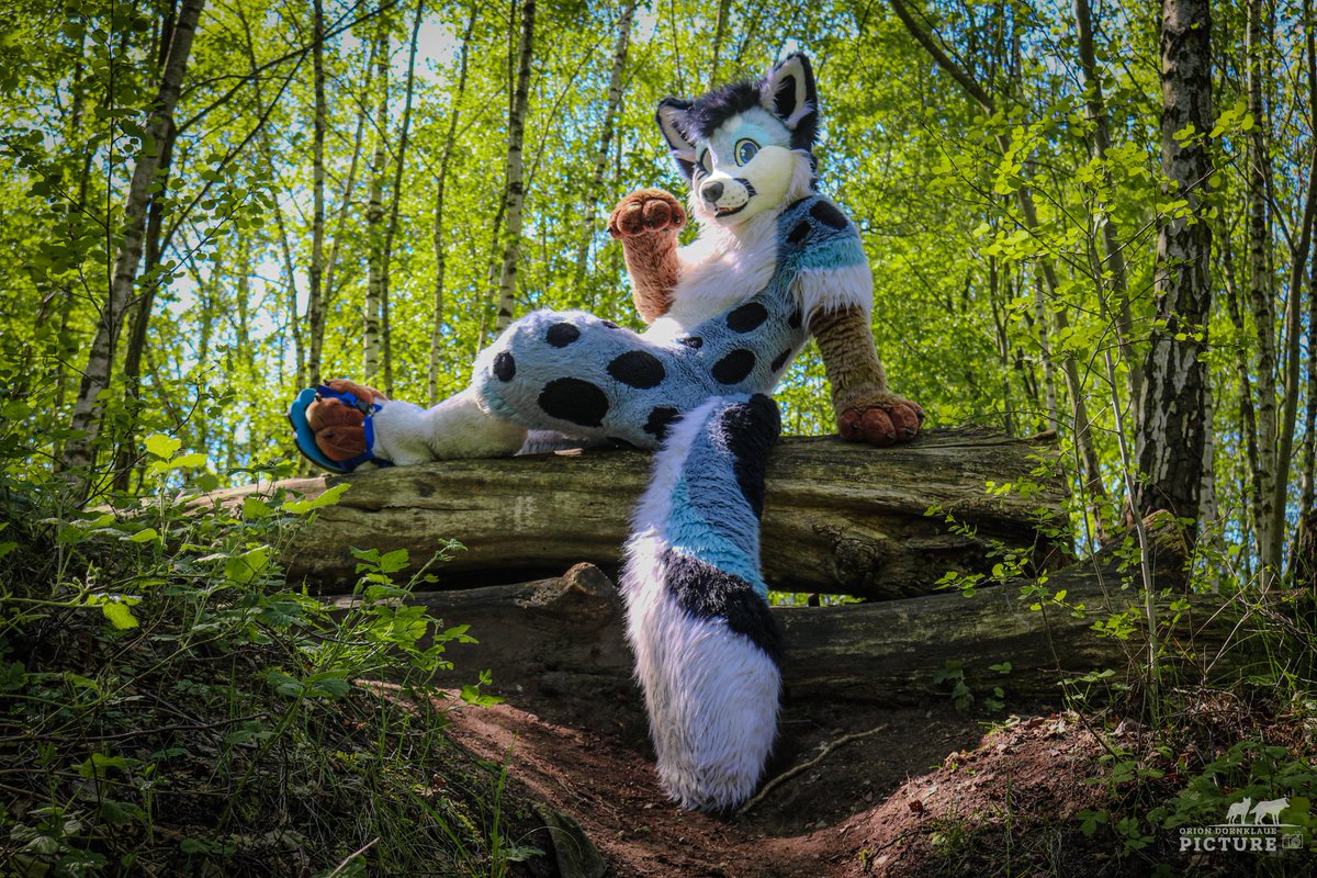 Orion Dornklaue Picture (@dornklaue89314) on Twitter photo Herzlich Willkommen in Norderstedter Stadtpark
Hier sind die schönsten Momente von Fursuit Walk 01.05.2024 Stadtpark Norderstedt
Bild by 📸 <a href="/Orion_Dornklaue/">Orion Dornklaue🐺🌲🌕</a> Herzlich Willkommen in Norderstedter Stadtpark
Hier sind die schönsten Momente von Fursuit Walk 01.05.2024 Stadtpark Norderstedt
Bild by 📸 <a href="/Orion_Dornklaue/">Orion Dornklaue🐺🌲🌕</a>