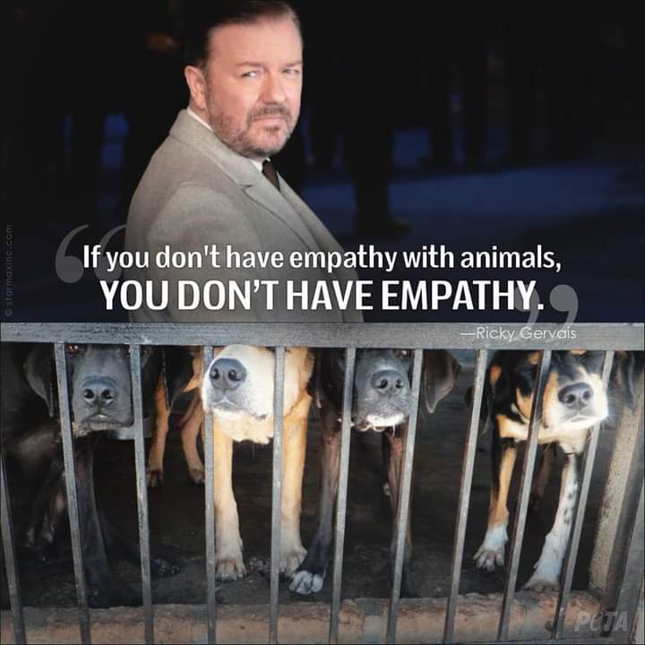 @_AnimalAdvocate It all comes down to having empathy for animals.