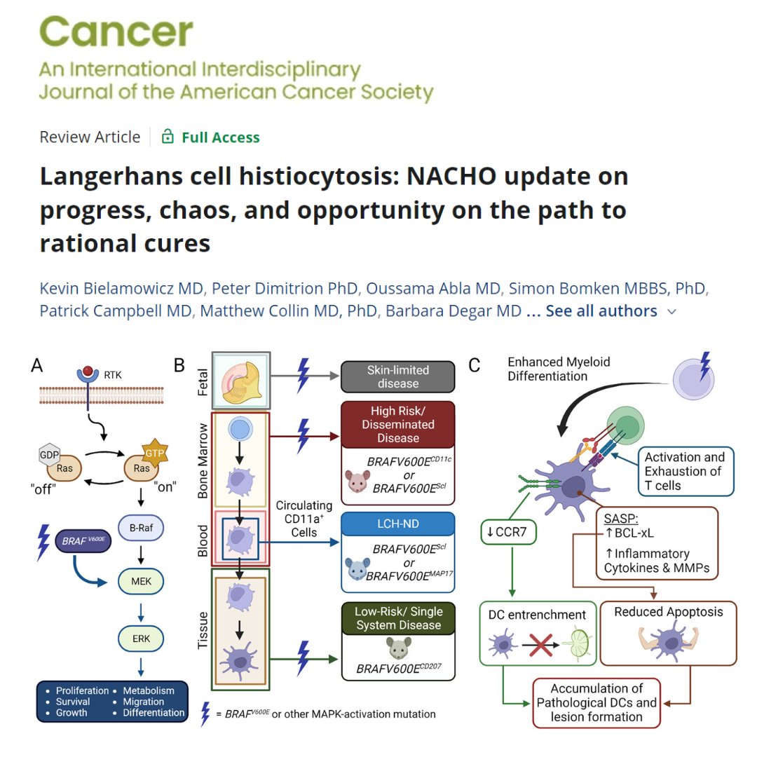 This new review covers the current understanding of Langerhans cell histiocytosis biology and opportunities to improve outcomes for every patient through coordinated agent prioritization and clinical trial efforts.

acsjournals.onlinelibrary.wiley.com/doi/full/10.10…

@OncoAlert