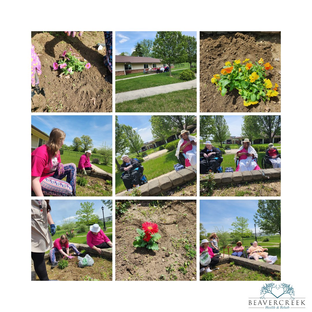 Our residents nurture friendships and blooms alike in our delightful gardening club! 🌱🌸 #GreenThumb #CommunityGardening #Beavercreekrehab