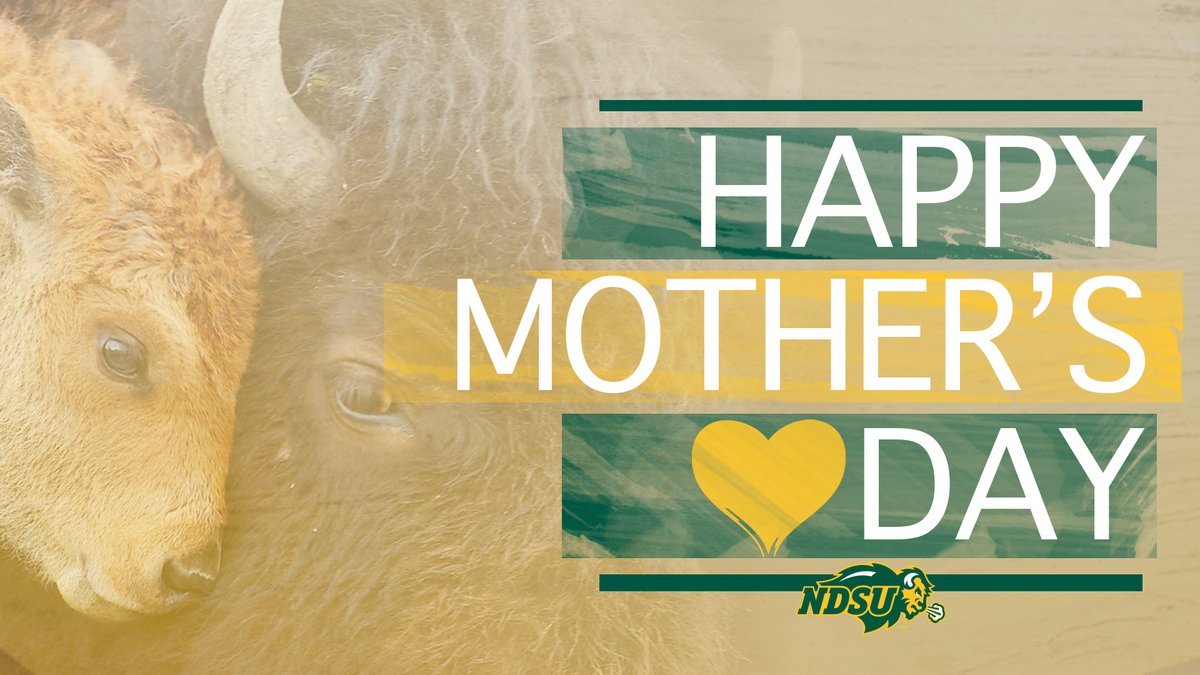 Happy Mother's Day, Bison Nation! 💛