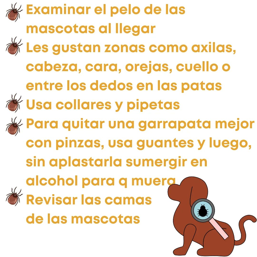 #Prevention2024 Salgamos a disfrutar de la naturaleza #leonesp y otros lugares pero tomemos #Precauciones