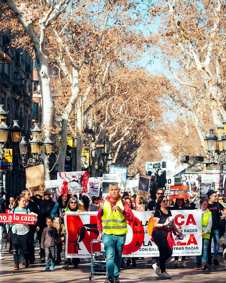 💚Manifestación No A La Caza 2024 en #Barcelona Foto de @quirbachphotography Somos una asociación apartidista, aconfesional y antiespecista sin ánimo de lucro 🙌¡ÚNETE A NOSOTRAS Y COMPARTE! Síguenos en nuestras redes sociales: linktr.ee/plataformanac #NoAlaCaza