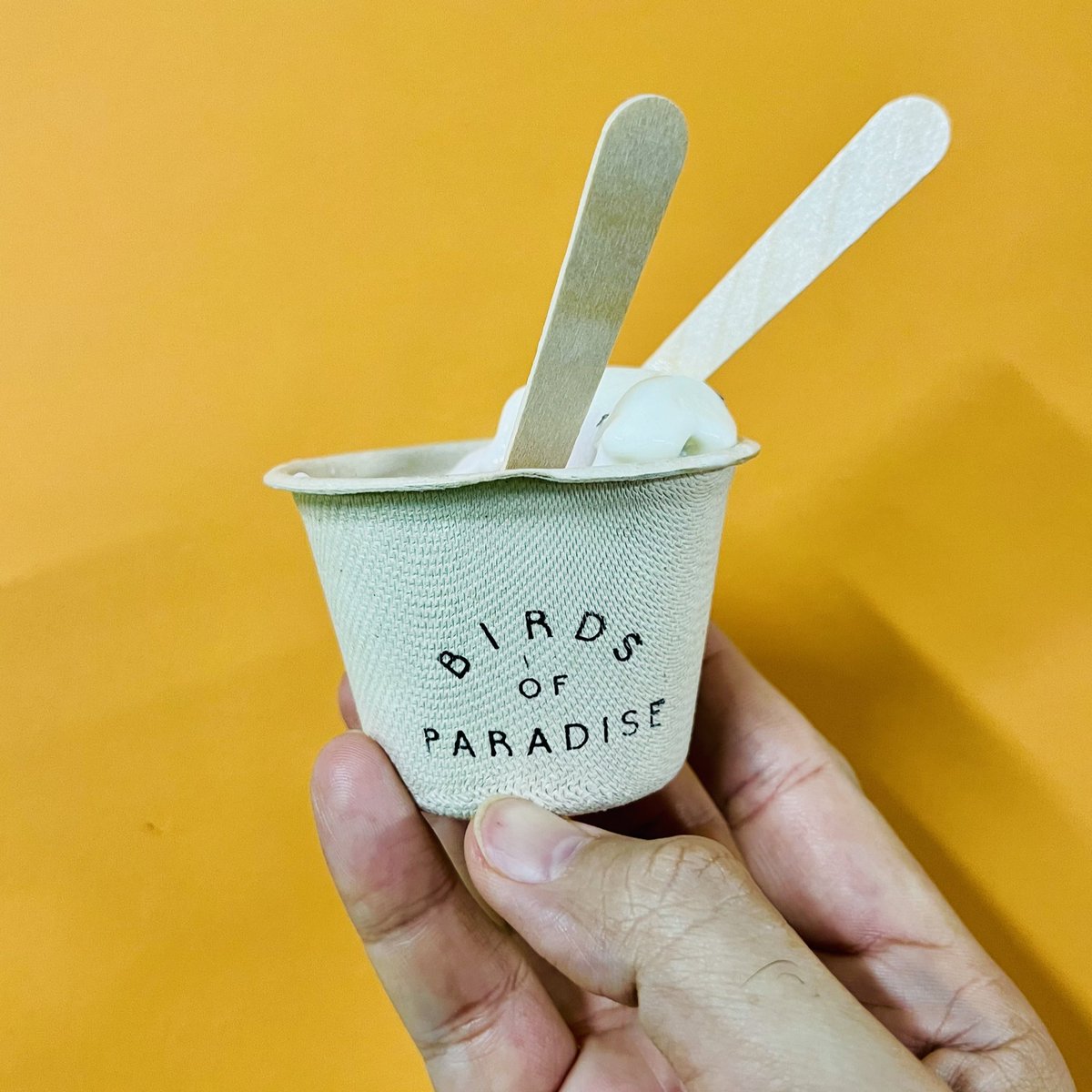 Kalau korang travel ke Singapore, please lah try ice cream ni. Menarik gila rasa dia. I ordered two scoops; White Chrysanthemum dgn Strawberry Basil. 

📍Birds of Paradise, Jewel Changi