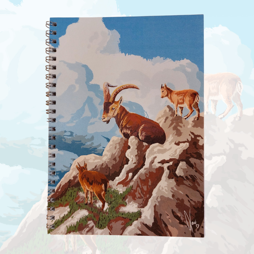 Precisas de um caderno de campo à tua medida? Então sê um rewilder a tempo inteiro com o nosso novo caderno de cabra-montesa 🐐 Com uma maravilhosa ilustração de Xavi Reñé, completamente reciclado, 38 páginas em branco e A5.  Encomenda já: rewilding-portugal.com/product/cadern…